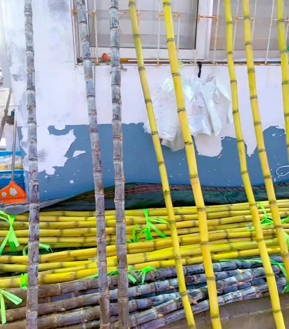 秋味浓！烟台这些水果正当时